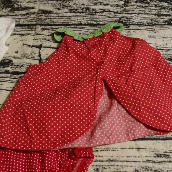 Gymboree So Berry Cute NWT 12-18 Month Bodysuit Outlet EUC Bloomers GUC Top Set - Picture 3 of 5